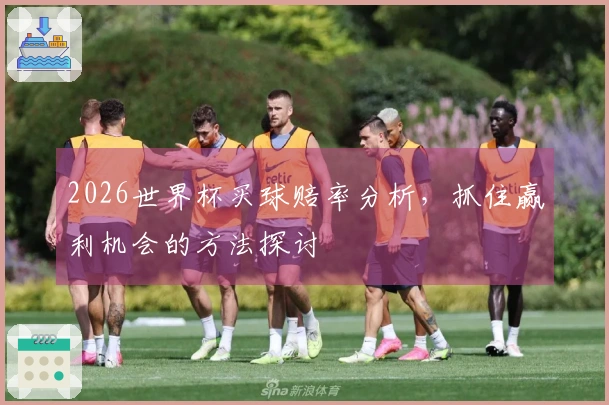 2026世界杯买球赔率分析，抓住赢利机会的方法探讨
