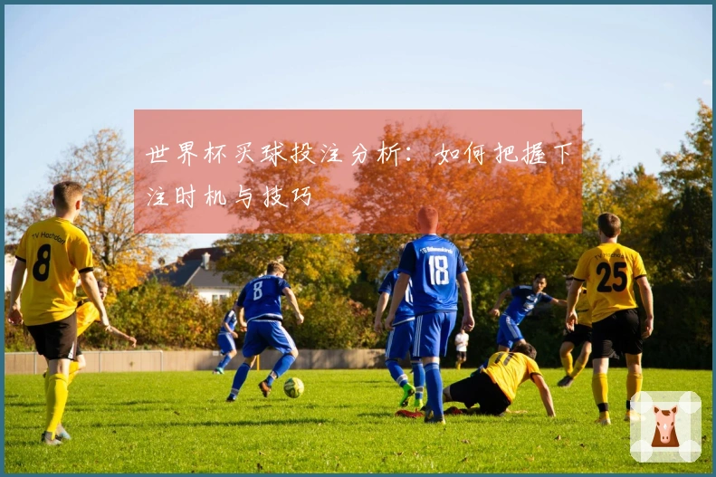 世界杯买球投注分析：如何把握下注时机与技巧