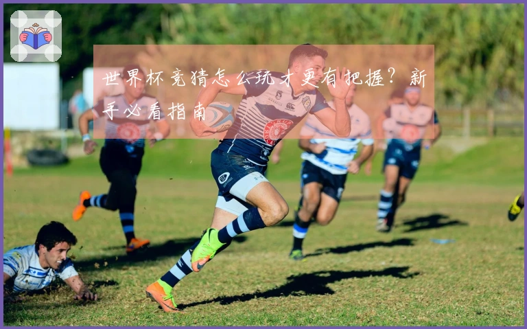 世界杯竞猜怎么玩才更有把握？新手必看指南