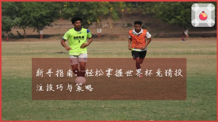 新手指南：轻松掌握世界杯竞猜投注技巧与策略