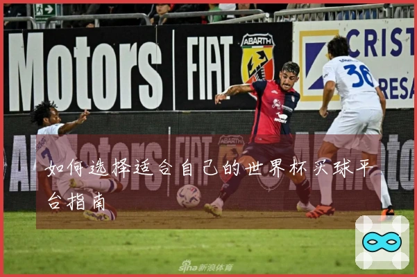 如何选择适合自己的世界杯买球平台指南