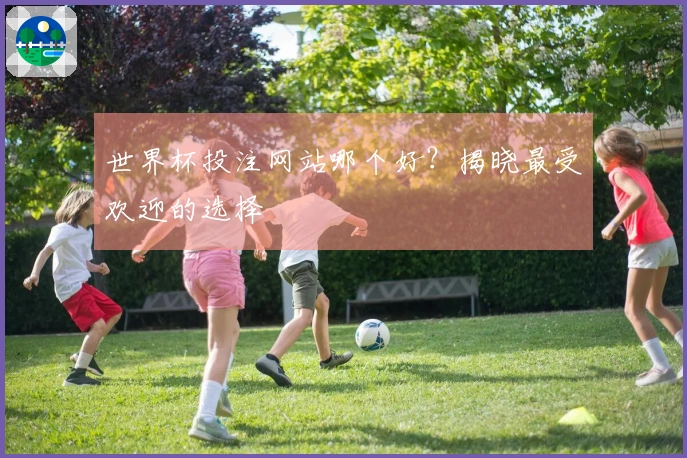 世界杯投注网站哪个好？揭晓最受欢迎的选择