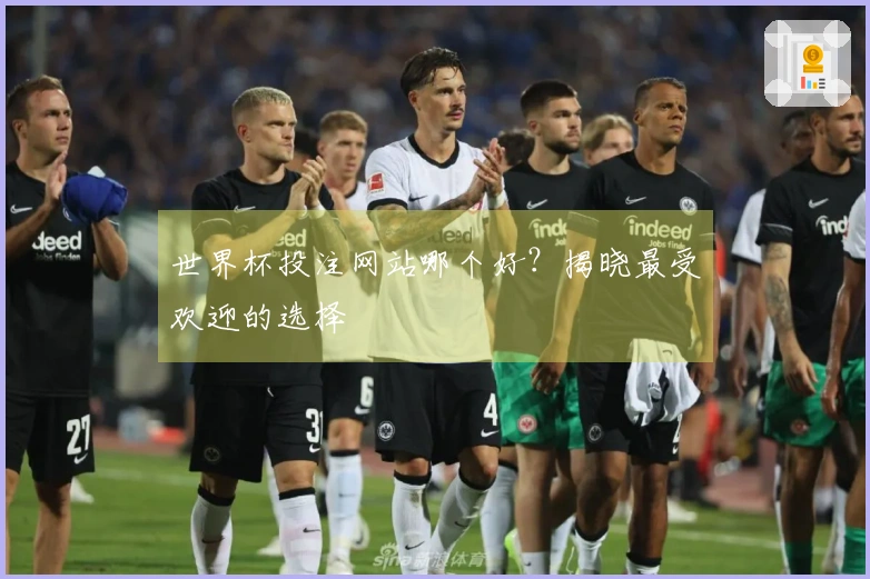 世界杯投注网站哪个好？揭晓最受欢迎的选择