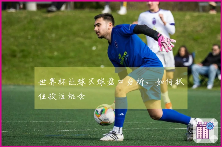 世界杯让球买球盘口分析，如何抓住投注机会