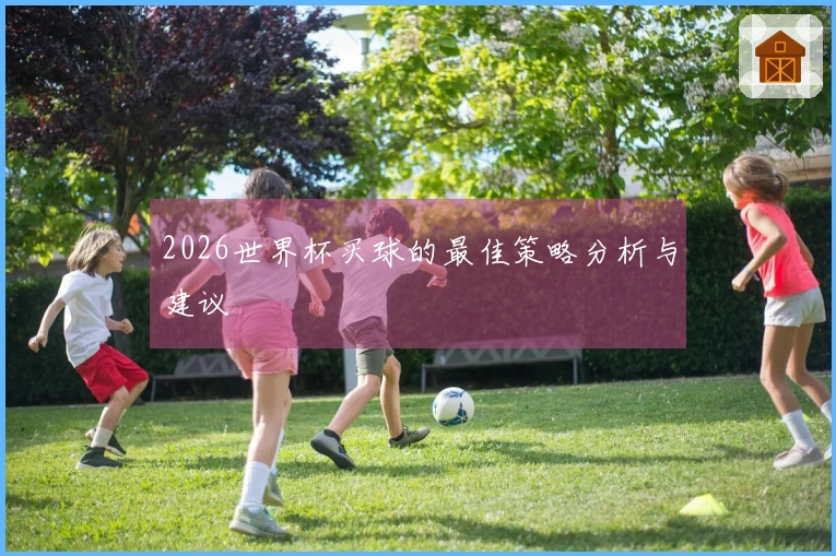 2026世界杯买球的最佳策略分析与建议