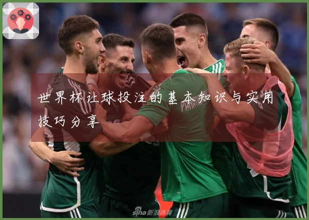 世界杯让球投注的基本知识与实用技巧分享