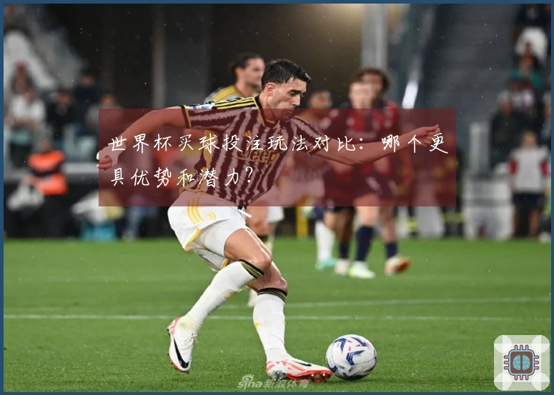 世界杯买球投注玩法对比：哪个更具优势和潜力？
