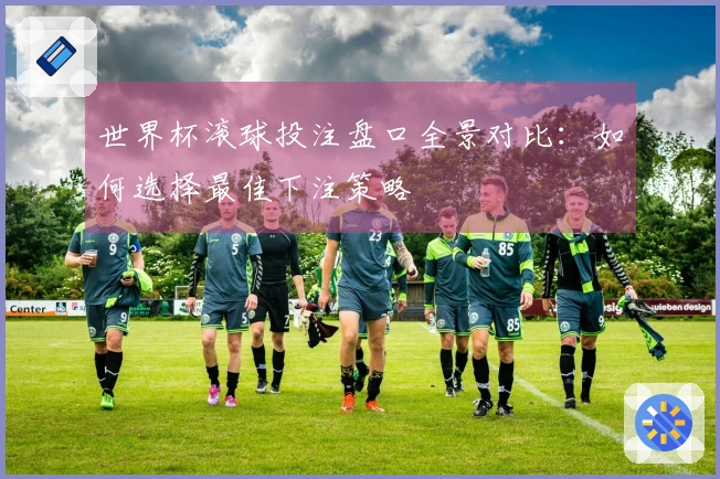 世界杯滚球投注盘口全景对比：如何选择最佳下注策略