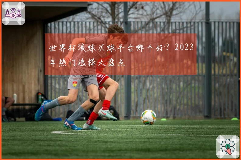 世界杯滚球买球平台哪个好？2023年热门选择大盘点