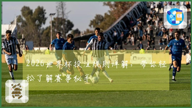 2026世界杯投注规则详解，带你轻松了解赛事秘辛