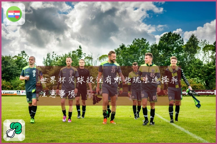 世界杯买球投注有哪些玩法选择和注意事项