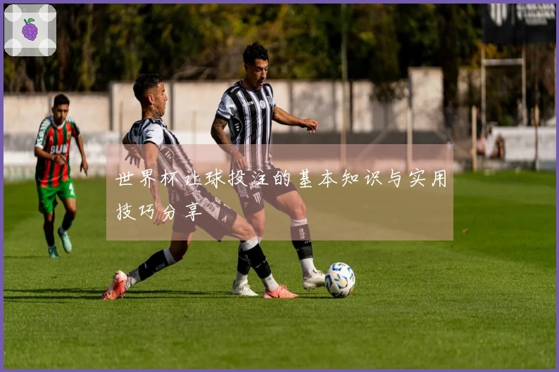 世界杯让球投注的基本知识与实用技巧分享