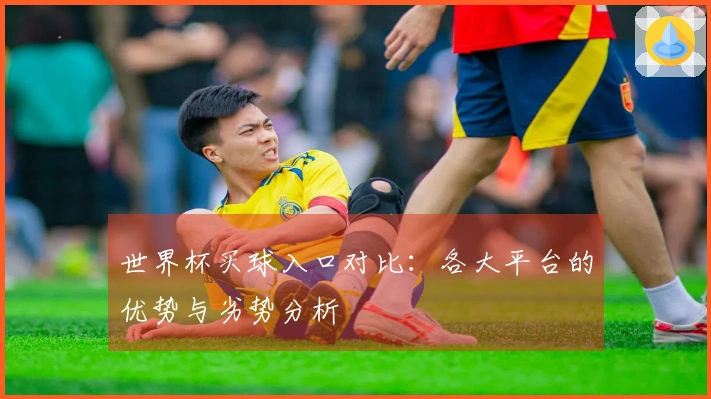 世界杯买球入口对比：各大平台的优势与劣势分析