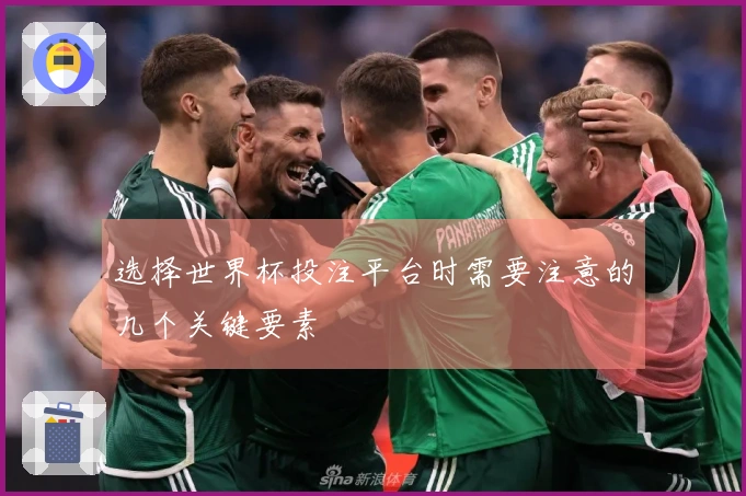 选择世界杯投注平台时需要注意的几个关键要素