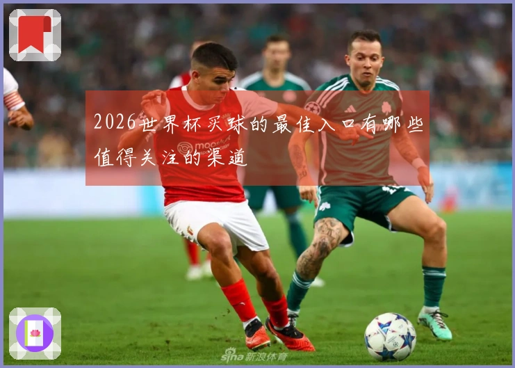 2026世界杯买球的最佳入口有哪些值得关注的渠道