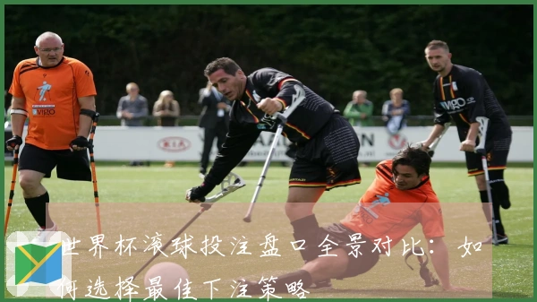 世界杯滚球投注盘口全景对比：如何选择最佳下注策略