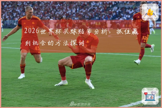 2026世界杯买球赔率分析，抓住赢利机会的方法探讨